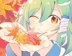 Rule 34 | 1girl, ;), autumn leaves, blurry, brown eyes, close-up, depth of field, frog hair ornament, green hair, hair between eyes, hair ornament, hair tubes, highres, holding, holding leaf, kochiya sanae, leaf, long sleeves, looking at viewer, maple leaf, one eye closed, portrait, smile, snake hair ornament, solo, touhou, yamase