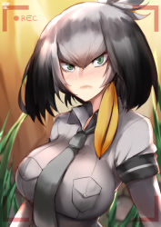Rule 34 | 10s, 1girl, bird wings, black hair, blonde hair, blush, bodystocking, breast pocket, breasts, closed mouth, green eyes, grey hair, grey necktie, grey shirt, highres, kemono friends, large breasts, multicolored hair, necktie, norman maggot, nose blush, pocket, recording, shirt, shoebill (kemono friends), short sleeves, side ponytail, solo, upper body, wings