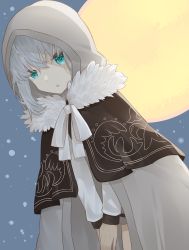 Rule 34 | 1girl, cape, cloak, commentary request, fate/grand order, fate (series), fur trim, gray (fate), green eyes, grey cloak, grey hair, hair between eyes, highres, hood, hood up, long sleeves, looking at viewer, lord el-melloi ii case files, moon, ribbon, short hair, snow, solo, white ribbon, younomiti