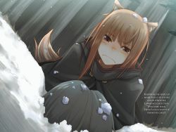 Rule 34 | 1boy, 1girl, animal ears, ayakura juu, blush, brown hair, cape, character name, craft lawrence, day, highres, holo, long hair, looking at viewer, lying, novel illustration, official art, on back, outdoors, red eyes, silver hair, sitting, snow, snow on head, spice and wolf, tail, wolf ears, wolf tail