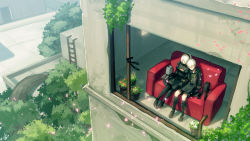Rule 34 | 1boy, 1girl, black dress, black gloves, black hairband, black legwear, boots, branch, choker, closed eyes, clothing cutout, commentary request, couch, dress, flower, flower pot, full body, gloves, hairband, head on another&#039;s shoulder, hetero, highres, holding hands, indoors, ladder, long sleeves, nier:automata, nier (series), nori (infinite r-evolution), outdoors, petals, pod (nier:automata), short hair, shorts, side-by-side, sitting, sleeping, white hair, wide shot, 2b (nier:automata), 9s (nier:automata)