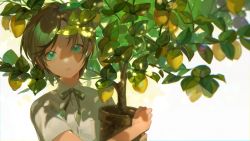 Rule 34 | 1girl, absurdres, aqua eyes, breast pocket, brown hair, collared shirt, dappled sunlight, flower pot, food, fruit, harrymiao, highres, holding, holding flower pot, leaf, lemon, looking at viewer, original, parted lips, plant, pocket, potted plant, shadow, shirt, short hair, short sleeves, solo, sunlight, upper body, white background, white shirt