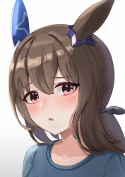 Rule 34 | 1girl, :o, absurdres, admire vega (umamusume), animal ears, blue shirt, brown hair, close-up, collarbone, commentary request, ear ornament, eyelashes, guree (haiiro), hair between eyes, hair ribbon, highres, horse ears, horse girl, light blush, long hair, looking at viewer, looking to the side, open mouth, pink eyes, ribbon, shirt, simple background, solo, umamusume, upper body, white background