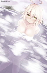 Rule 34 | 1girl, ahoge, bad id, bad pixiv id, blush, breasts, cleavage, closed mouth, collarbone, commentary request, day, dutch angle, fate/grand order, fate (series), green eyes, hair between eyes, jeanne d&#039;arc (fate), jeanne d&#039;arc alter (avenger) (fate), jeanne d&#039;arc alter (fate), large breasts, light brown hair, looking at viewer, nude, outdoors, partially submerged, snow, solo, tasora, twitter username, water