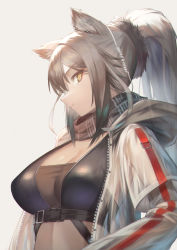 Rule 34 | 1girl, absurdres, animal ears, arknights, black scarf, breasts, cat ears, cleavage, commentary, crop top, grey background, grey eyes, highres, ioriwu8, jacket, large breasts, long hair, midriff, open clothes, open jacket, profile, scarf, schwarz (arknights), silver hair, simple background, solo, white jacket