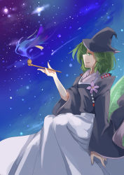 Rule 34 | 1girl, abe no kiyohime, absurdres, bad anatomy, flower, ghost tail, green eyes, green hair, hat, highres, japanese clothes, kariginu, long skirt, night, night sky, open mouth, original, riverbed soul saver, sitting, skirt, sky, smile, touhou