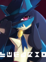 Rule 34 | 1boy, adjusting clothes, adjusting headwear, animal ears, bad id, bad pixiv id, black fur, blue cape, blue fur, blue hat, blue ribbon, body fur, brooch, cape, character name, closed mouth, clothed pokemon, cosplay, creatures (company), english text, furry, furry male, game freak, gen 4 pokemon, glint, hand up, hat, iogi (iogi k), jewelry, light particles, looking at viewer, lucario, lucario (costume party), male focus, nintendo, one eye covered, poke ball theme, pokemon, pokemon: lucario and the mystery of mew, pokemon (anime), pokemon rse (anime), pokemon unite, purple background, purple eyes, ribbon, sad, sideways mouth, simple background, sir aaron, sir aaron (cosplay), smile, solo, spikes, tears, wolf boy, wolf ears, yellow fur