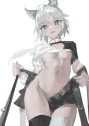 Rule 34 | 1girl, absurdres, animal ears, asymmetrical legwear, black shirt, black shorts, black thighhighs, breasts, chromatic aberration, commentary, cowboy shot, crop top, grey eyes, highres, looking at viewer, mismatched legwear, navel, no panties, open mouth, original, shirt, short hair, shorts, shrug (clothing), simple background, small breasts, smile, solo, stomach, thighhighs, underboob, undressing, white background, white hair, white shirt, white thighhighs, wrist cuffs, zygocactus