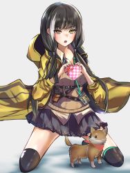 Rule 34 | 1girl, absurdres, black hair, black skirt, black thighhighs, blush, box, breasts, brown cardigan, cardigan, dog, gift, gift box, girls&#039; frontline, hair ornament, hairclip, heterochromia, highres, holding, holding gift, hood, hooded jacket, id card, jacket, kneeling, long hair, looking at viewer, multicolored hair, open clothes, open jacket, open mouth, orange eyes, r9k1, ro635 (girls&#039; frontline), shirt, simple background, skirt, small breasts, solo, thighhighs, valentine, yellow eyes, yellow jacket, yellow shirt