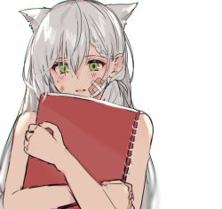 Rule 34 | 1girl, animal ears, aogisa, bad id, bad pixiv id, book, hugging book, chromatic aberration, girls&#039; frontline, green eyes, highres, holding, holding book, holding notebook, ksvk (girls&#039; frontline), long hair, looking at viewer, notebook, hugging object, open mouth, patch, silver hair, solo, white background
