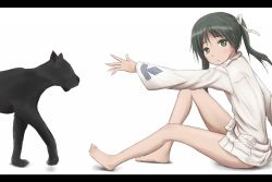 Rule 34 | 1girl, barefoot, black panther, francesca lucchini, fuu maumau, green eyes, green hair, letterboxed, looking at viewer, panther, reaching, sitting, strike witches, toes, world witches series