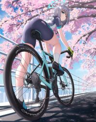 Rule 34 | 1girl, absurdres, animal ear fluff, animal ears, bicycle, bike jersey, bike shorts, biker clothes, blue archive, blue eyes, blue halo, blush, bottle, breasts, cherry blossoms, cross hair ornament, cycling uniform, extra ears, from below, gloves, green gloves, grey hair, hair ornament, halo, highres, leg up, looking at viewer, looking back, medium breasts, mismatched pupils, official alternate costume, outdoors, riding, riding bicycle, shiroko (blue archive), shiroko (cycling) (blue archive), solo, topgear, water bottle, wolf ears