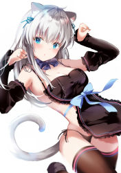 Rule 34 | 1girl, :o, animal ear fluff, animal ears, apron, arm up, bad id, bad pixiv id, bare shoulders, black apron, black panties, black sleeves, black thighhighs, blue bow, blue eyes, blue ribbon, blush, bow, breasts, cat ears, cat girl, cat tail, cleavage, commentary request, detached sleeves, frilled apron, frills, hair between eyes, hair ribbon, hand up, juliet sleeves, long hair, long sleeves, medium breasts, nearly naked apron, original, panties, parted lips, paw pose, pon (ponidrop), puffy sleeves, ribbon, side-tie panties, silver hair, simple background, sleeves past wrists, solo, standing, standing on one leg, tail, thighhighs, underwear, white background