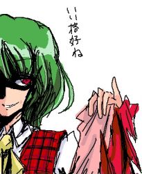 Rule 34 | 1girl, ascot, evil grin, evil smile, female focus, green hair, grin, kazami yuuka, lowres, plaid, plaid vest, red eyes, shaded face, short hair, smile, solo, touhou, vest, white background