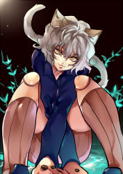 Rule 34 | 1girl, :3, androgynous, animal ears, cat ears, cat tail, doll joints, hunter x hunter, joints, kneehighs, long sleeves, neferpitou, other focus, short hair, shorts, silver hair, sitting, socks, solo, tail, yellow eyes