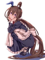Rule 34 | 1girl, absurdly long hair, admire vega (umamusume), alternate costume, animal ears, apron, black dress, black footwear, blush, breasts, bright pupils, brown hair, closed mouth, dress, ear cover, enmaided, frilled apron, frills, from side, full body, hair between eyes, hands on own cheeks, hands on own face, high heels, highres, horse ears, horse girl, horse tail, juliet sleeves, long hair, long sleeves, looking at viewer, looking to the side, low ponytail, maid, medium breasts, puffy sleeves, purple eyes, simple background, solo, squatting, starheart, tail, umamusume, very long hair, white apron, white background, white legwear