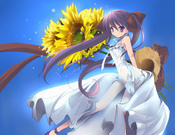 Rule 34 | 00s, bare shoulders, bow, dress, flower, hair ribbon, hat, hiiragi kagami, leaning forward, long hair, lucky star, mugen dai, purple eyes, purple hair, ribbon, see-through, solo, straw hat, sunflower, twintails, very long hair