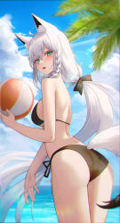 Rule 34 | 1girl, absurdres, ahoge, ame 816, animal ear fluff, animal ears, aqua eyes, ass, back, ball, bare arms, bare shoulders, beachball, bikini, black bikini, blurry, bow, braid, breasts, chromatic aberration, depth of field, fox ears, fox girl, fox tail, from behind, hair bow, halterneck, highres, holding, hololive, long hair, looking at viewer, looking back, low ponytail, medium breasts, open mouth, shirakami fubuki, side-tie bikini bottom, skindentation, solo, swimsuit, tail, thighs, very long hair, virtual youtuber, white hair