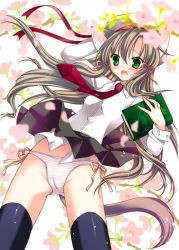 Rule 34 | aion (pixiv), amou mari, animal ears, blush, book, cameltoe, flower, green eyes, grey hair, hat, long hair, necktie, open mouth, original, panties, ribbon, side-tie panties, skirt, solo, striped clothes, striped panties, tail, thighhighs, underwear, wind, wind lift