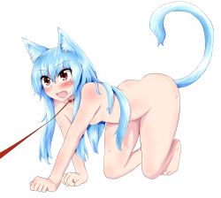 Rule 34 | 1girl, all fours, animal ears, ass, barefoot, bdsm, blue hair, blush, body blush, breasts, cat ears, cat tail, collar, drooling, female pervert, happy, highres, hinanawi tenshi, kemonomimi mode, king (ougon kingyo-bachi), leash, leash pull, long hair, nude, paw pose, pervert, pet play, red eyes, small breasts, solo, sweat, tail, thighs, toes, touhou