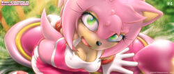 Rule 34 | amy rose, furry, highres, sitting, smile, sonic (series), tagme, tcprod