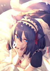 Rule 34 | 1girl, animal ear fluff, animal ears, backlighting, bed sheet, black dress, black hair, black hairband, blue eyes, blush, breasts, cat ears, cat girl, cat tail, chita (ketchup), closed mouth, commentary request, dress, frilled hairband, frilled pillow, frills, hair between eyes, hairband, highres, lying, maid, medium breasts, mole, mole on breast, on stomach, original, pillow, puffy short sleeves, puffy sleeves, short sleeves, signature, smile, solo, tail, wrist cuffs