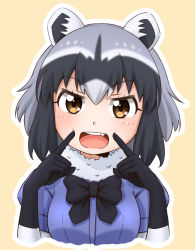 Rule 34 | 10s, 1girl, :d, animal ears, bad id, bad pixiv id, beige background, black bow, black bowtie, black gloves, black hair, blue shirt, bow, bowtie, brown hair, common raccoon (kemono friends), fang, fingers to cheeks, fur collar, gloves, grey hair, kemono friends, looking at viewer, multicolored hair, open mouth, raccoon ears, shirt, short sleeves, simple background, smile, solo, takatsuki nao, teeth, upper body