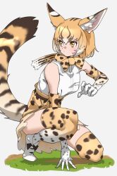 Rule 34 | absurdres, animal ear fluff, animal ears, bare shoulders, blonde hair, blush, boots, bow, bowtie, cat ears, cat girl, cat tail, elbow gloves, extra serval (kemono friends), gloves, hair between eyes, high-waist skirt, highres, kemono friends, multicolored hair, print bow, print bowtie, print gloves, print skirt, print thighhighs, serval print, shirt, short hair, sidelocks, skirt, sleeveless, solo, squatting, tail, tanabe (fueisei), thighhighs, white footwear, white hair, white shirt, yellow eyes, zettai ryouiki