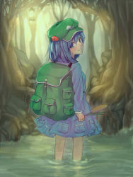 Rule 34 | 1girl, backpack, bag, blue eyes, blue hair, branch, cabbie hat, cattail, dress, forest, from behind, hair bobbles, hair ornament, hat, highres, kawashiro nitori, key, kinsan, lamp, long sleeves, looking at viewer, looking back, matching hair/eyes, nature, partially submerged, plant, pocket, short hair, short twintails, skirt, skirt set, solo, standing, touhou, tree, twintails, two side up, wading