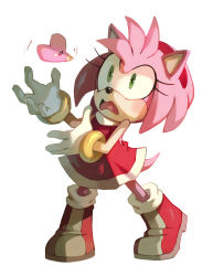 Rule 34 | amy rose, animal nose, bluekomadori, color connection, creature, creatures (company), crossover, dress, frown, furry, furry female, furry male, game freak, gen 3 pokemon, gloves, green eyes, highres, luvdisc, nintendo, pokemon, pokemon (creature), red dress, red footwear, shoes, short dress, simple background, sonic (series), white background, white gloves