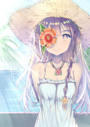 Rule 34 | 1girl, arms at sides, arms behind back, bare shoulders, braid, brown eyes, brown hair, closed mouth, day, dress, flower, hair flower, hair ornament, hat, hibiscus, horizon, light rays, long hair, looking at viewer, multicolored eyes, ocean, original, outdoors, palm tree, red flower, smile, solo, spaghetti strap, straw hat, sunbeam, sundress, sunlight, tree, upper body, white dress, xiaosan ye, yellow eyes, yellow flower