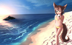 Rule 34 | 1girl, animal ears, beach, bikini, child, cloud, day, dkoro, eyebrows, female focus, food, holding, ice cream, licking, navel, open mouth, original, outdoors, sand, solo, swimsuit, tail, walking, water