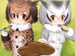 Rule 34 | 10s, 2girls, :o, bad id, bad nicoseiga id, bowl, brown eyes, brown hair, buttons, commentary request, curry, curry rice, eating, eurasian eagle owl (kemono friends), food, fur trim, gloves, green background, grey hair, hair between eyes, head wings, iwahana, jacket, kemono friends, multicolored hair, multiple girls, northern white-faced owl (kemono friends), plate, rice, short hair, spoon, symmetry, utensil in mouth, white hair, wings, yellow eyes