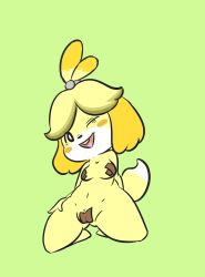 Rule 34 | 1girl, animal crossing, animal ears, arm behind back, blonde hair, blush, blush stickers, breasts, cameltoe, cleft of venus, dog ears, dog tail, female focus, full body, furry, furry female, green background, highres, isabelle (animal crossing), kneeling, looking at viewer, maebari, navel, nintendo, one eye closed, open mouth, pasties, presenting, pussy, pussy peek, short hair, simple background, small breasts, smile, solo, spread legs, tail, teeth, uncensored, vono (voon), white eyes, wink