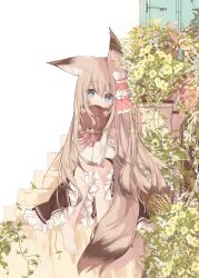 Rule 34 | 1girl, animal ear fluff, animal ears, barefoot, black skirt, blue eyes, brown hair, commentary request, covered mouth, flower, fox ears, fox girl, fox tail, frilled skirt, frills, hair between eyes, highres, knees up, kushida you, long hair, long sleeves, hugging object, original, pink flower, plant, shirt, sitting, sitting on stairs, skirt, sleeves past wrists, solo, stairs, stone stairs, stuffed animal, stuffed toy, tail, teddy bear, very long hair, white flower, white shirt, yellow flower