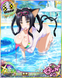 Rule 34 | 1girl, all fours, animal ears, bikini, bishop (chess), black hair, bracelet, breast hold, breasts, card (medium), cat ears, cat tail, character name, chess piece, cleavage, covered erect nipples, day, eyewear on head, hair rings, hairband, high school dxd, high school dxd born, innertube, jacket, jewelry, kuroka (high school dxd), large breasts, lipstick, long hair, makeup, mouth hold, multicolored bikini, multicolored clothes, multiple tails, naughty face, official art, partially submerged, purple lips, seductive smile, see-through, slit pupils, smile, solo, sunglasses, swim ring, swimsuit, tail, trading card, wading, water, yellow eyes