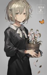 Rule 34 | 1girl, black dress, bug, butterfly, commentary request, cowboy shot, dated, dress, expressionless, flower pot, gompang, green eyes, grey background, grey hair, grey neckwear, grey ribbon, hair between eyes, highres, holding, insect, leaf, looking at viewer, original, parted lips, plant, potted plant, short hair, simple background, translation request, wilted flower