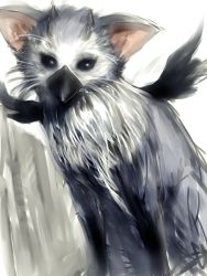 Rule 34 | animal, animal ears, beak, black eyes, cat ears, chimera (creature), creature, fumio (rsqkr), griffin, griffon, no humans, solo, the last guardian, trico, trico(char), trico (character), wings