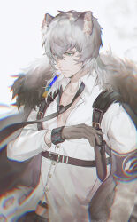 Rule 34 | 1boy, absurdres, animal ear fluff, animal ears, arknights, armband, bao jiang fenhong, black coat, blue eyes, chest harness, chromatic aberration, coat, coat on shoulders, collared shirt, crossed bangs, dagger, emblem, from side, fur-trimmed coat, fur trim, gloves, grey hair, harness, highres, infection monitor (arknights), kjerag logo, knife, knife sheath, leather, leather gloves, leopard boy, leopard ears, looking ahead, male focus, medium hair, open clothes, open shirt, sheath, shirt, silverash (arknights), solo, toned, toned male, upper body, weapon, white shirt