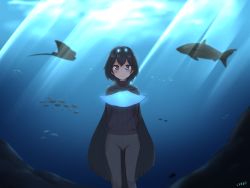 Rule 34 | 1girl, animal, aquarium, arms behind back, black cape, black hair, black sweater, blue eyes, cape, commentary, english commentary, fish, grey pants, hair between eyes, head wings, highres, kemono friends, light rays, long sleeves, looking at viewer, pants, ribbed sweater, shiraha maru, short hair, smile, solo, straight-on, sunbeam, sunlight, superb bird-of-paradise (kemono friends), sweater, turtleneck, turtleneck sweater, wings