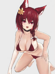 Rule 34 | 1girl, :3, :d, animal ears, arm support, azur lane, banxuan c2ka, barefoot, bikini, bikini pull, blurry, blush, braid, breasts, chiyoda (azur lane), chiyoda (shimmering surf) (azur lane), cleavage, clothes pull, collar, commentary request, cropped, depth of field, fang, flower, grey background, hair between eyes, hair flower, hair ornament, hair over shoulder, highres, kneeling, large breasts, long hair, open mouth, pulled by self, red bikini, red eyes, red hair, sidelocks, simple background, smile, solo, swimsuit