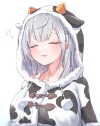 Rule 34 | 1girl, animal hood, animal print, breasts, capelet, closed eyes, cow hood, cow print, drooling, grey hair, hololive, hood, large breasts, long hair, official alternate hair length, official alternate hairstyle, shirogane noel, simple background, squeans, sleeping, solo, starblame, upper body, virtual youtuber, white background