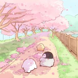 Rule 34 | animal focus, beak, bird, bird tail, black eyes, blue sky, cherry blossoms, chick, commentary request, day, falling petals, feathers, from behind, grass, grey feathers, hill, lake, looking at another, mofupiyo, no humans, original, outdoors, path, penguin, petals, railing, road, sky, solid circle eyes, spring (season), tail, tree, white feathers, yellow feathers