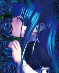 Rule 34 | 1girl, blue eyes, blue flower, blue hair, blue rose, dress, eyes visible through hair, flower, frederica bernkastel, frills, leaf, licking, long hair, long sleeves, looking at viewer, natsumi kei, official art, open mouth, puffy long sleeves, puffy sleeves, rose, sexually suggestive, solo, tongue, tongue out, umineko no naku koro ni, yonic symbol