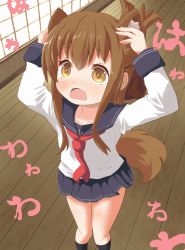 Rule 34 | 10s, 1girl, @ @, animal ears, arms up, black socks, blush, brown eyes, brown hair, commentary request, fang, folded ponytail, hand on own ear, hands on own head, highres, inazuma (kancolle), indoors, kantai collection, kemonomimi mode, long hair, long sleeves, maromi gou, open mouth, pleated skirt, school uniform, serafuku, skirt, socks, solo, standing, tail, touching ears, uniform, wooden floor, yellow eyes