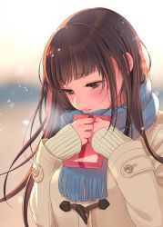Rule 34 | 1girl, absurdres, blue scarf, blunt bangs, blush, box, brown eyes, brown hair, buttons, coat, duffel coat, frown, gift, gift box, half-closed eyes, highres, holding, holding gift, lipstick, long hair, long sleeves, looking down, makeup, morikura en, original, red ribbon, ribbon, scarf, snowflakes, snowing, solo, upper body, winter clothes, winter coat
