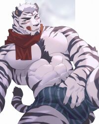 Rule 34 | 1boy, :q, abs, animal ears, arknights, bara, blush, boxers, bulge, chest tuft, erection, erection under clothes, facial hair, feet out of frame, furry, furry male, goatee, hachi duchi, highres, large pectorals, lying, male focus, male underwear, mature male, mountain (arknights), muscular, muscular male, navel, navel hair, no nipples, on back, pectorals, red scarf, scar, scar across eye, scarf, seductive smile, selfie, short hair, sideburns, smile, solo, spread legs, stomach, striped male underwear, thick thighs, thighs, tiger boy, tiger ears, tongue, tongue out, topless male, underwear, white fur, white hair