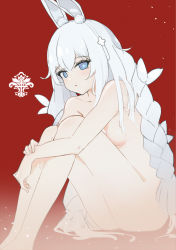 Rule 34 | + +, 1girl, absurdres, animal ears, ass, azur lane, bare shoulders, blue eyes, braid, breasts, closed mouth, collarbone, completely nude, expressionless, fake animal ears, from side, gradient background, grey hair, hair between eyes, hairband, highres, hugging own legs, knees up, le malin (azur lane), le malin (listless lapin) (azur lane), legs, looking at viewer, low twin braids, nude, pure white a type, rabbit ears, red background, sideboob, sitting, small breasts, solo, thighs, twin braids, vichya dominion (emblem)