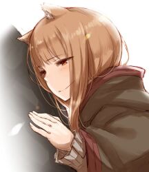 Rule 34 | 1boy, 1girl, animal ears, ayakura juu, brown hair, cloak, commentary request, craft lawrence, hand on another&#039;s back, holo, light smile, long hair, orange eyes, sketch, solo focus, spice and wolf, upper body, wolf ears, wolf girl