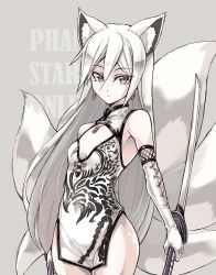 Rule 34 | 1girl, animal ears, bare shoulders, character request, china dress, chinese clothes, detached sleeves, dress, fox ears, fox tail, heterochromia, katana, long hair, looking at viewer, monochrome, multiple tails, muted color, original, phantasy star, phantasy star online, phantasy star online 2, purple legwear, simple background, solo, sword, tail, touya (the-moon), weapon, white hair